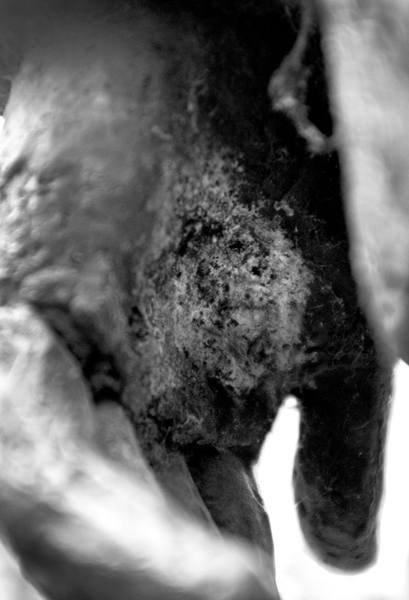 http://brognon-rollin.com/files/gimgs/69_francois-mauriac.jpg